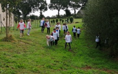 les CP nettoient la nature