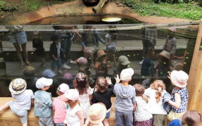 Visite au zoo